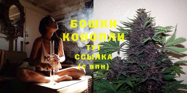 сатива Лихославль