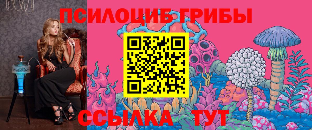 Псилоцибиновые грибы Psilocybine cubensis  Вход с VPN  Галлюциногенные грибы прущие грибы  Екатеринбург 