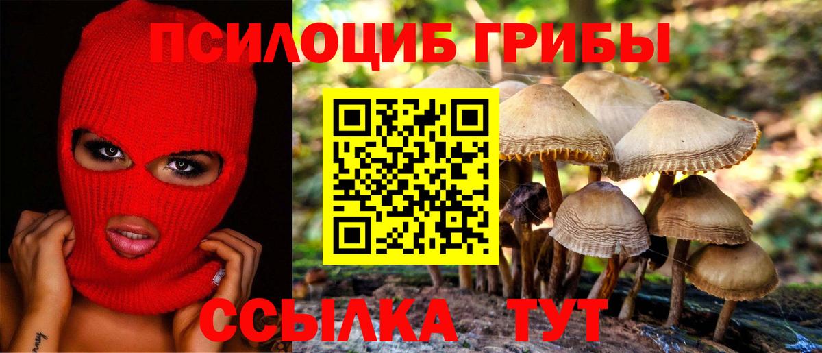 Галлюциногенные грибы Psilocybe Екатеринбург