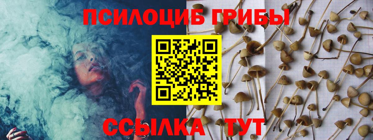 Галлюциногенные грибы мухоморы  Екатеринбург  Галлюциногенные грибы MAGIC MUSHROOMS 